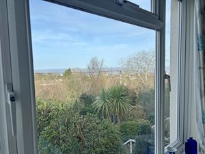 Window View- click for photo gallery